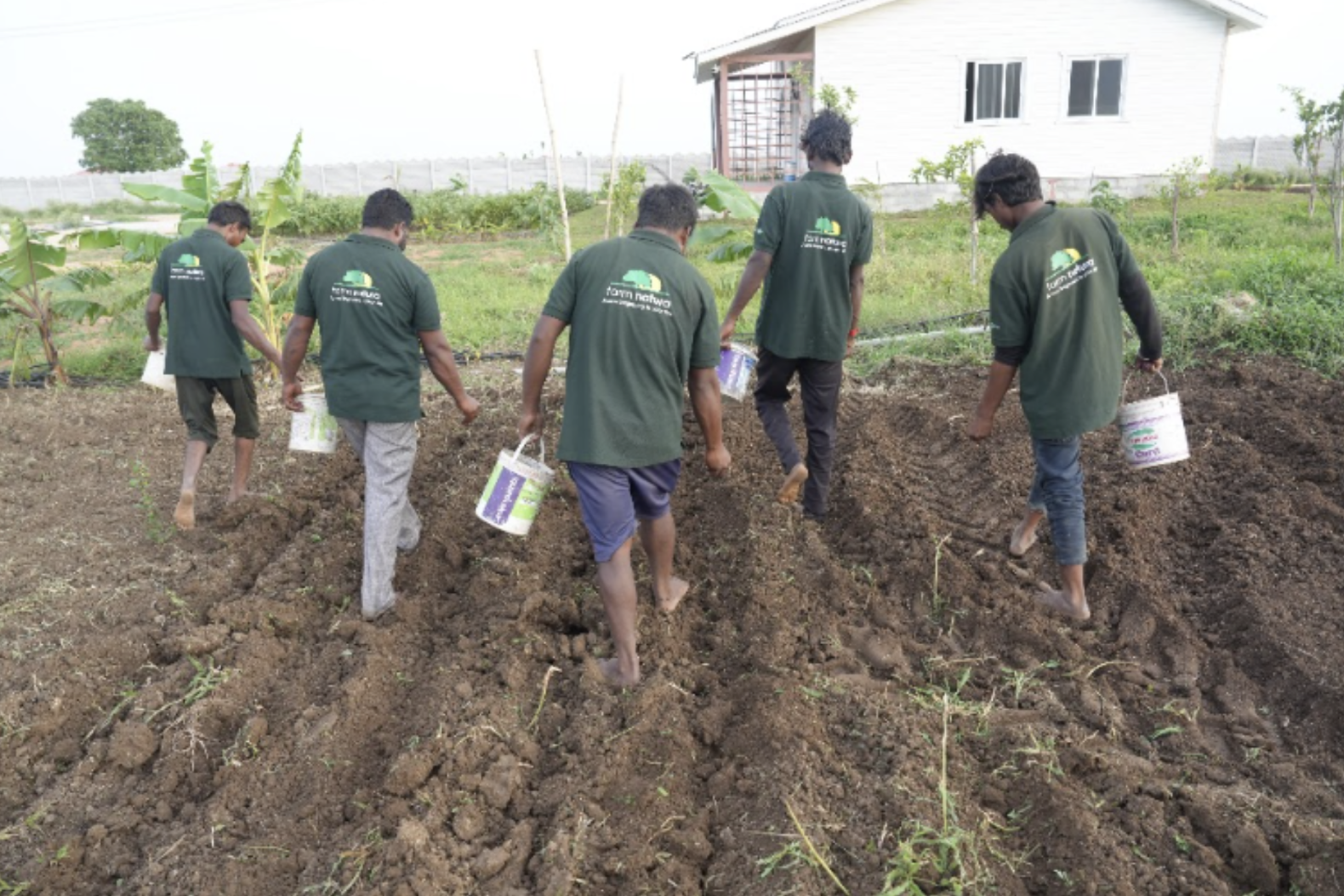 Farm Natura team preparing Jeevamrutham for soil restoration