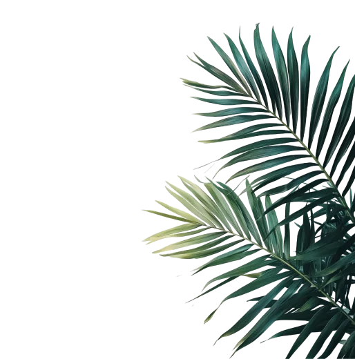 Corner Plant