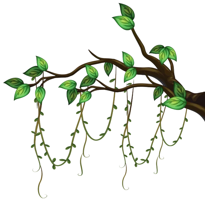 Vine Decoration